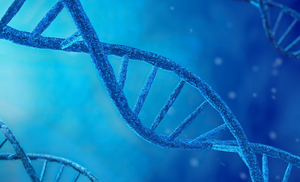Chemical vs. Enzymatic DNA Synthesis Techniques